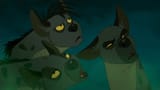 hyena faces