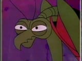 zorak squint