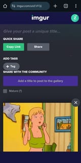 Screenshot_20250722_131011_Chrome