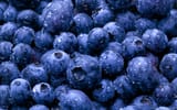Fresh-Blueberries