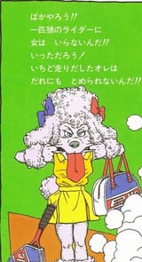 Toriyama Poodle 2