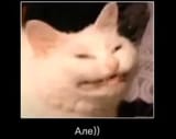 ane