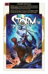 Storm 010 (2025) - 0025