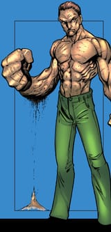 Flint_Marko_(Earth-1610)_from_Official_Handbook_of_the_Ultimate_Marvel_Universe_Ultimate_Spider-Man_-_Ultimate_Fantastic_Four_2005_Vol_1_1_0001