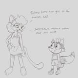 funnyraccoon