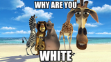why-are-you-white-bluray-recreation-v0-cafhrsec2xwe1