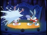 TINY Toon ADVENTURES - S00 E01 - How I Spent My Vacation (480p - DVDRip).mp4_snapshot_01.06.47.328