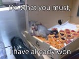 }
