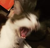 1705077317364