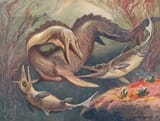 marine reptiles
