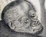 1624035056481