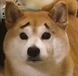 n-no