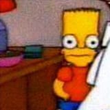 bort