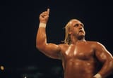 24Hogan-pkcj-articleLarge