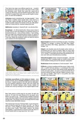 Life and Lies 22