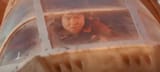 Rose-Tico-2