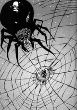 WoD australian spider