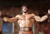 herc_lou