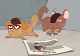 Weird fucking chinchillas