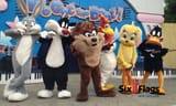 looney-tunes-six-flags