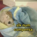850e16da-c406-4c9c-8361-1c1da3e7283e