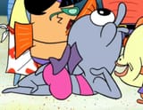 Sexy dolphin