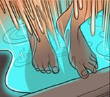 toeses