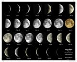 Moon Pictures