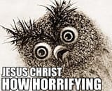 jesus owl