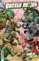 tmnt art sdcc (2)