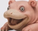 ioykhbtrw