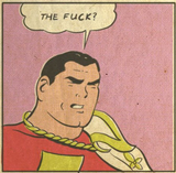 the fuck