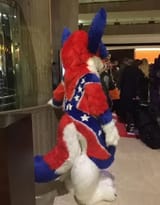 Confederate Flag furry