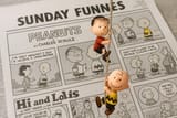 20250730_0346_Peanuts Escape Comic Strip_simple_compose_01k1d4nxpmeats43ejpyj1b0s1