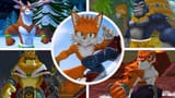 taiwan coolfox