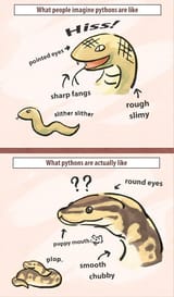 comics-how-X-see-python-693251