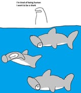 Sharklife