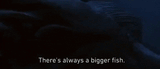 bigger fish
