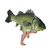 salmon running