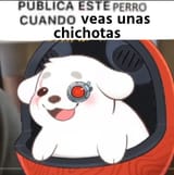 publica este perro