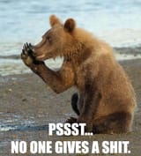 bear tells you that nobody gives a shit