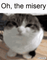 2121