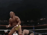 hulk-hogan-wwe