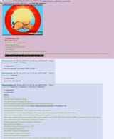 stupid dupid sumos ruin school