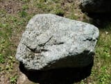 a rock