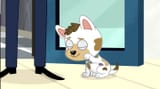 CamillaTheCat