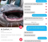 Catfish