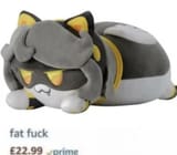 Fat kitty V