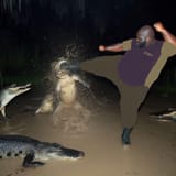 1696200140279274
