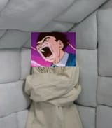 MENTALLY ILLhan